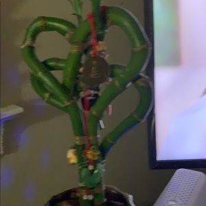 Meet your Posher, Thu